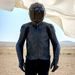 ALPINESTARS DUSK – MOTOCYKLOVÁ BUNDA NA CESTNÚ JAZDU (ČIERNA) 2025