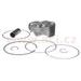 PIESTNE SADA A PRIEMER 76,76 MM (HONDA), METEOR PISTON