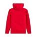 ALPINESTARS RACE WORDMARK HOODIE – VOĽNOČASOVÁ MOTO MIKINA (ČERVENÁ/BIELA)