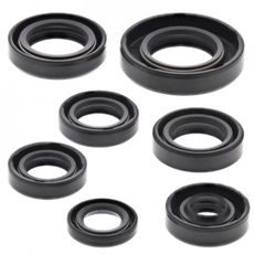 SADA GUFER MOTORU WINDEROSA 822105