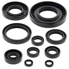 SADA GUFER MOTORU WINDEROSA 822174