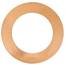 THRUST WASHER HOT RODS W153