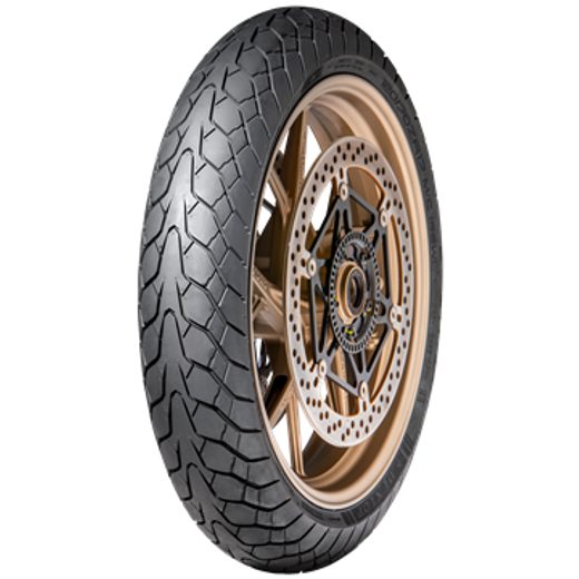 PNEUMATIKA DUNLOP 190/55ZR17 (75W) TL M+S MUTANT DOT-09/23