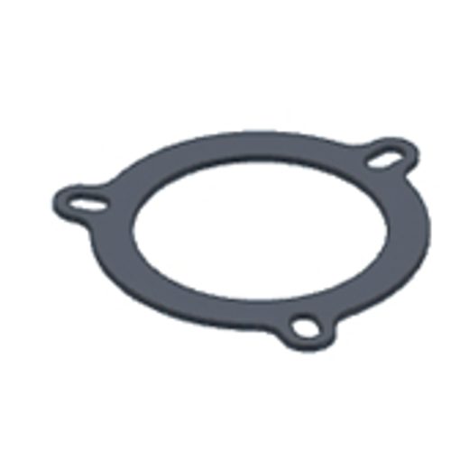 GRAPHITE PLATE GASKET MIVV 50.73.028.1 FOR BIG FLANGE (3HOLES)