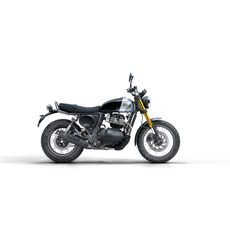 ROYAL ENFIELD BEAR 650 GOLDEN SHADOW