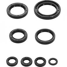 SADA GUFER MOTORU WINDEROSA 822996