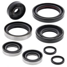 SADA GUFER MOTORU WINDEROSA 822264