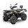 Linhai ATV 370 PROMAX EFi T3b beige