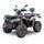 Linhai ATV 570 PROMAX 4x4 EFi E5 sand + RADLICE ZDARMA