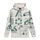 mikina DETERMINANT HOODIE, ALPINESTARS (bílá offwhite)