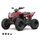Linhai ATV 110 4x2 EFI CE
