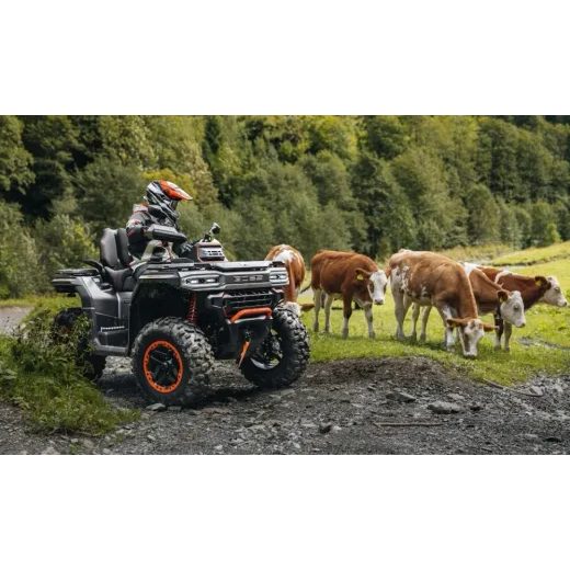 GOES TERROX 1000 LIMITED T3B NEBULA BLACK +RADLICE ZDARMA