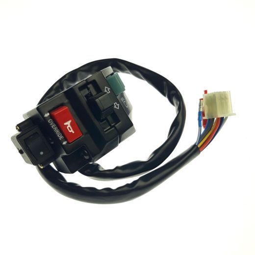 SWITCH ASSY (USED FOR EUROPE) - 30114