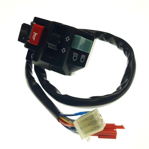 SWITCH ASSY (USED FOR EUROPE) - 30114