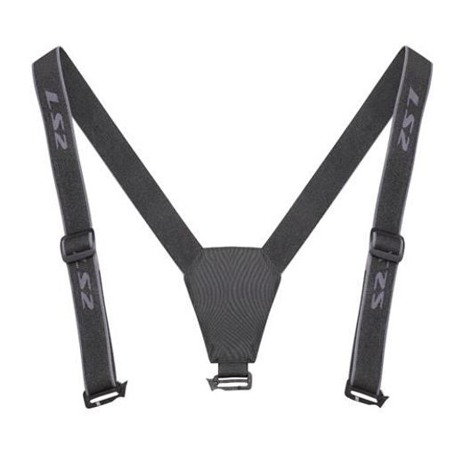 LS2 BRACES