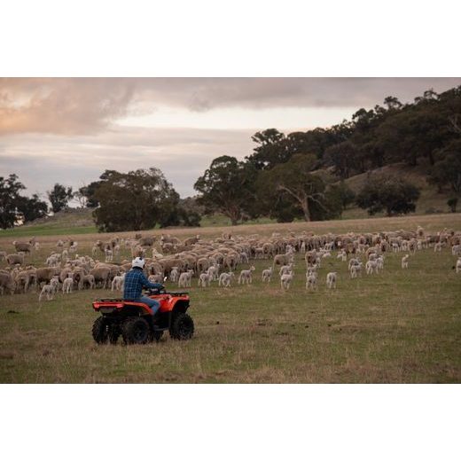 CFMOTO GLADIATOR NOVÁ X520-A EFI S EPS G2 T3B ZELENÁ + RADLICE ZDARMA