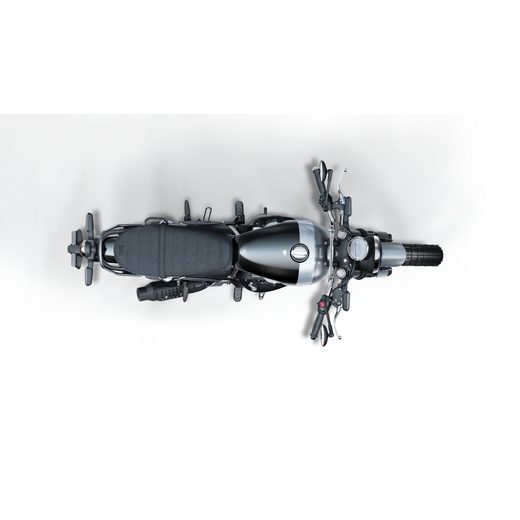 ROYAL ENFIELD BEAR 650 GOLDEN SHADOW