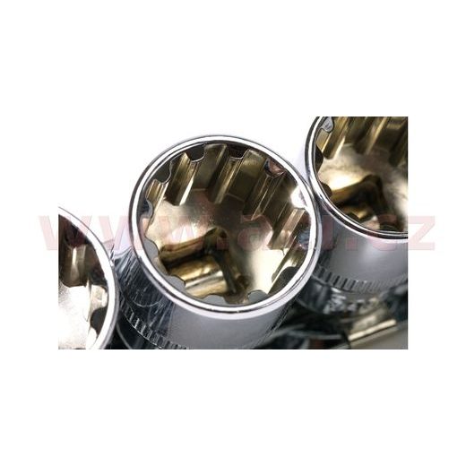 MALÁ GOLA SADA NA MOTO, BIKESERVICE