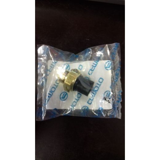 THERMO SWITCH CF MOTO, JOURNEYMAN GLADIATOR