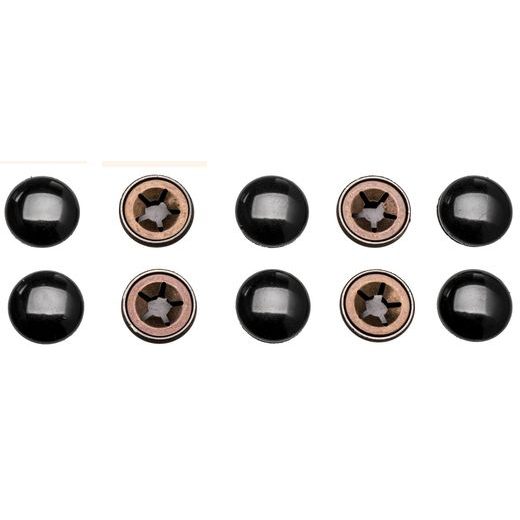 ALPINESTARS NÁHRADNÍ SADA DRUKŮ PRO PŘIPEVNĚNÍ VÝSTELKY CHRÁNIČŮ A-10/A-4/A-1 (SADA 10KS)