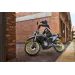 CFMOTO 250 DUAL TUNDRA GREY EU5+