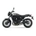 KAWASAKI Z650RS MY24 EBONY / METALLIC MATTE CARBON GRAY