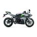 KAWASAKI NINJA E-1 METALLIC BRIGHT SILVER / METALLIC MATTE LIME GREEN / EBONY