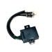 2WD/4WD MOTOR CONTROLLER LINHAI - 25436