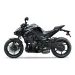 KAWASAKI Z1100 MY27 EBONY / METALLIC CARBON GRAY