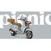 VESPA PRIMAVERA 125 PIC NIC GRIGIO + POUKAZ NA 10.000 KČ