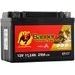 BATERIE GELOVÁ 12V, GTZ14-4, 11AH, 190A, BANNER BIKE BULL GEL 151X87X110