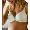 CacheCoeur MATERNITY AND NURSING PUSH-UP BRA LOUISE