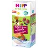 HiPP BIO Nápoj Jemné jablko a ovoce s neperlivou pramenitou vodou 200 ml