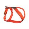 Non-stop Dogwear Line 5.0 postroj