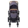 Graco Evo XT iron