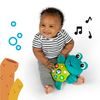 Baby Einstein Hračka hudební interaktivní želva Neptune's Cuddly Composer™ 6m+