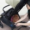 Graco Myavo clover