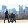 Baby Jogger City Mini GT2 Opulent Black