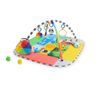 Baby Einstein Deka na hraní 5v1 Patch's Color Playspace ™ 0m +