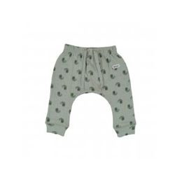 LODGER Jogger Flame Tribe Silt Green 62