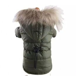 Surtep Zimní bunda s kapucí pro psa - Zelená