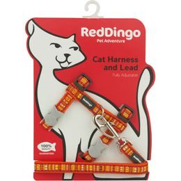 Red Dingo Postroj RD s vodítkem - kočka- Lotzadotz Orange