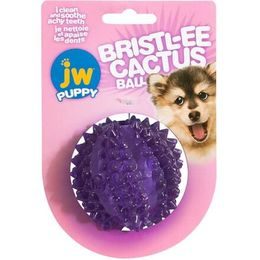 JW Pet JW Bristl-ee Cactus Ball