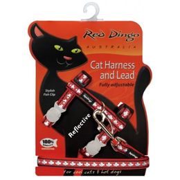 Red Dingo Postroj RD s vodítkem - kočka - Fish Rfx - Červená