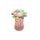 Melii Hrneček s brčkem a počítadlem 340 ml - růžový