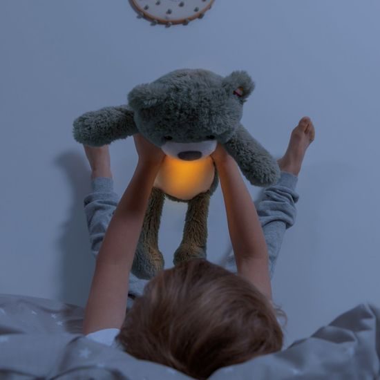 Zazu Medvídek BRODY modrý Sleeptrainer s melodiemi a nočním světlem