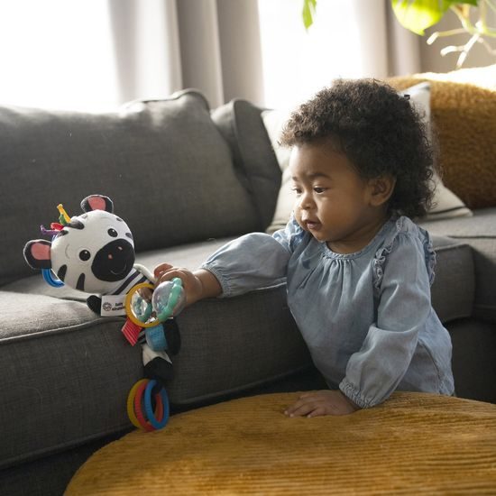 Baby Einstein Hračka aktivní na C kroužku ZEN zebra 0m +