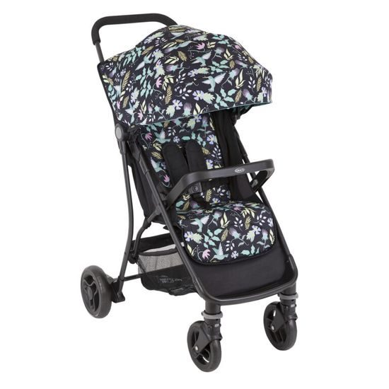 Graco Breaze lite 2 hummingbird