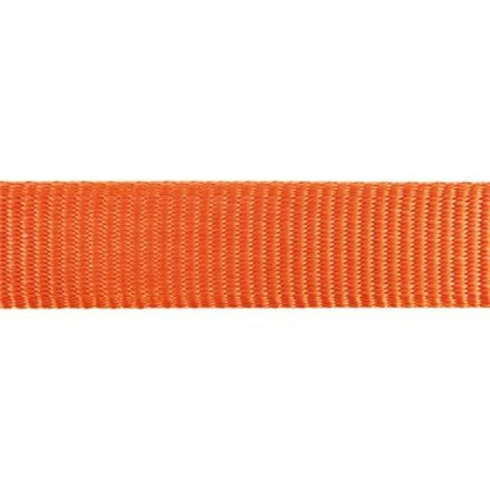 Red Dingo Vodítko 12 mm x 1,8 m Oranžová