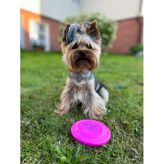 Løype Hero Disc Pup 120 distance